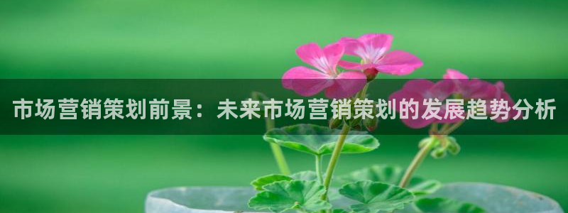 必赢网站充值是真的吗