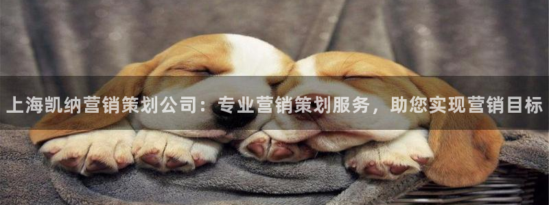 必赢平台网站多少