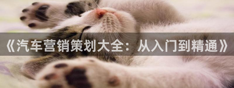 必赢下载二维码