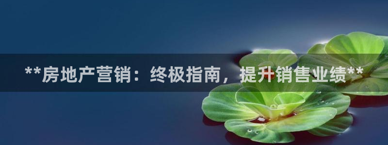 必赢app安卓版下载
