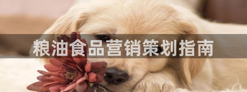 必赢3003平台