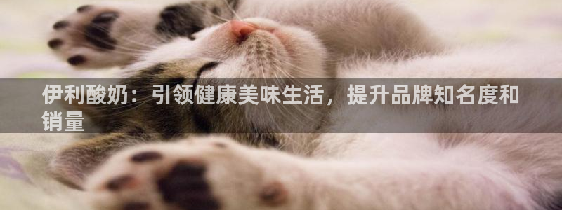 必赢这个平台怎么样可靠吗