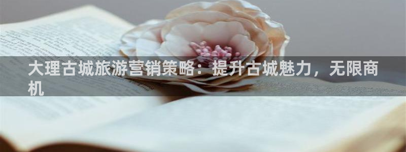 必赢app官方网站