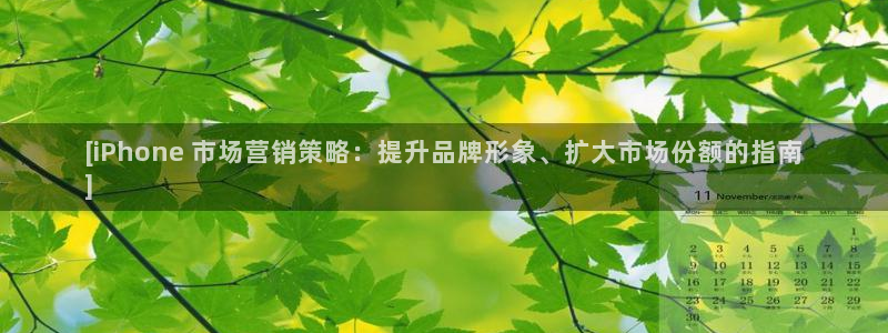 必赢网络游戏平台