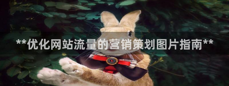 必赢科技中国有限公司