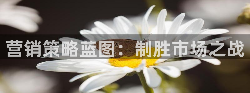 必赢官网下载app
