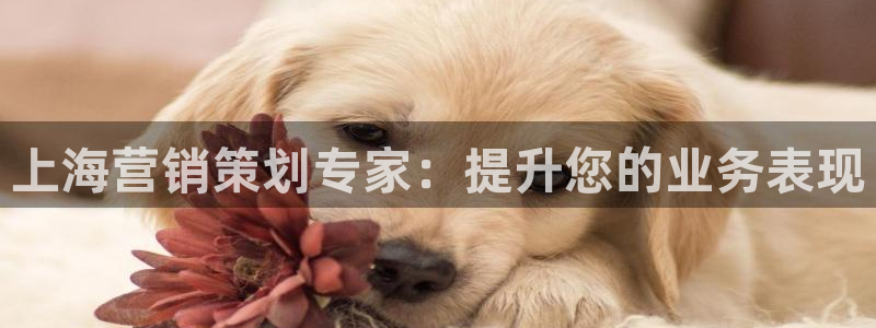 必赢这个平台怎么样