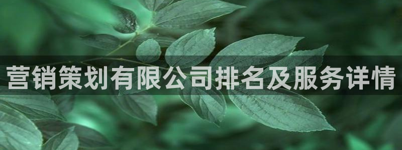 必赢3003平台