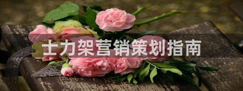 必赢棋盘官网版