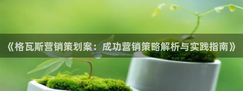 必赢官网