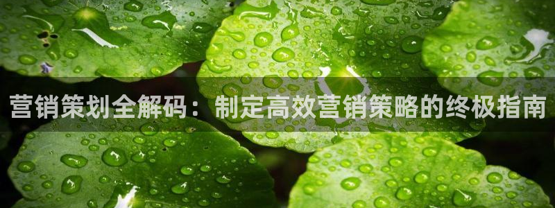 必赢集团怎么样