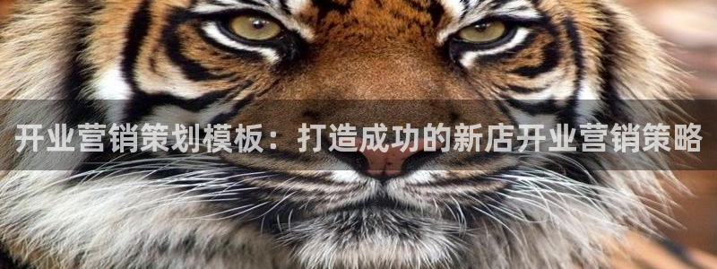 必赢3003必赢贵族宾会