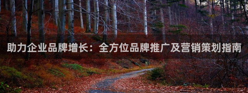 必赢国际437怎么样