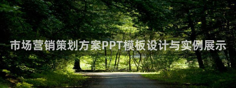 必赢手机app下载安装最新版
