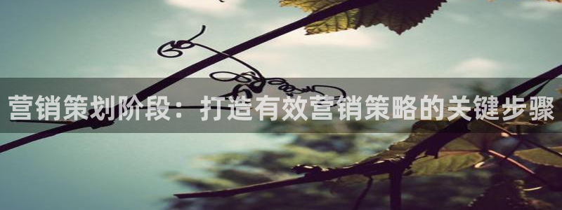 必赢官网入口下载安装