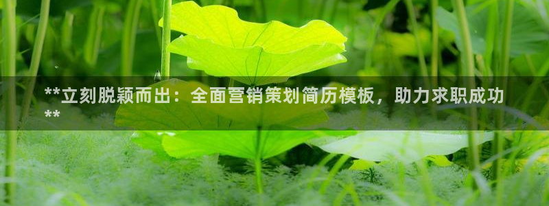 必赢国际怎么样
