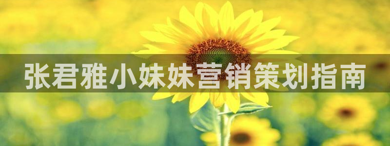 必赢网站进去