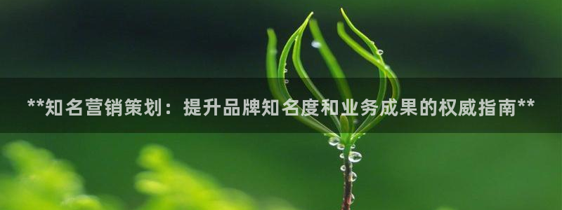 必赢手机app下载官网最新版