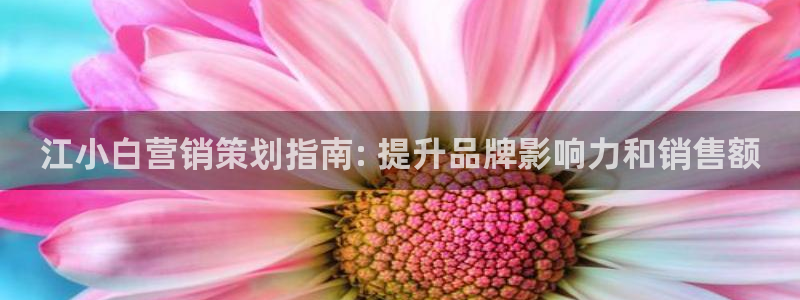 必赢3003必赢贵族宾会
