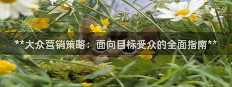 必赢官网网站首页下载