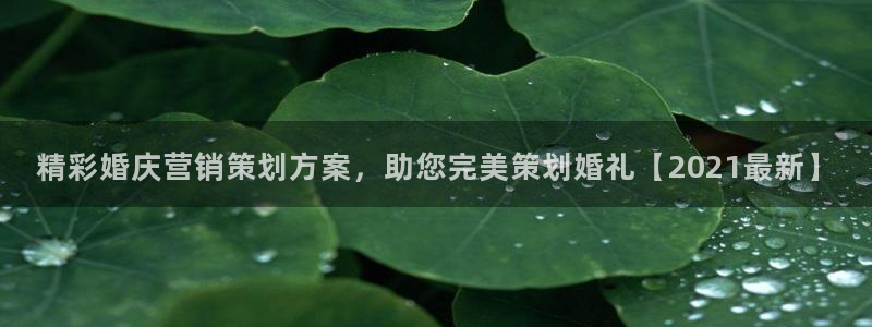 必赢app是干什么的