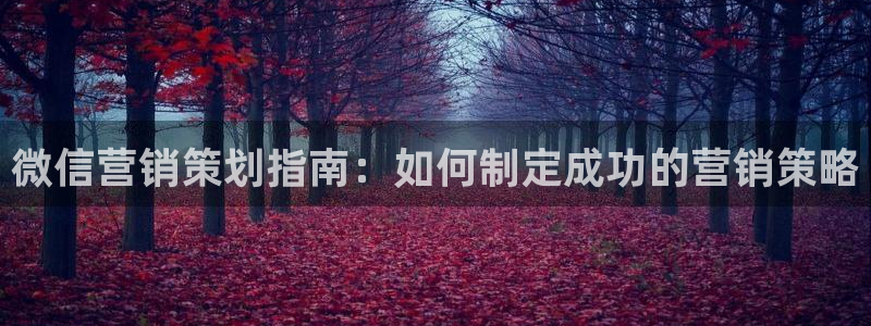 必赢88