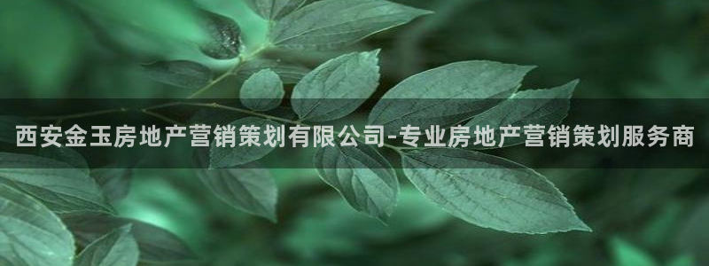 必赢棋盘官网版