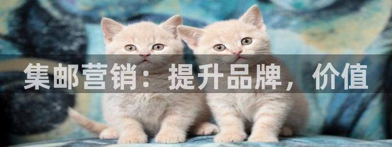 必赢亚赢网站官网下载安卓手机：