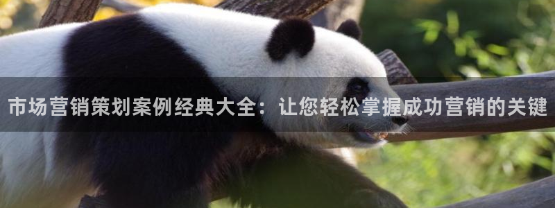 必赢这个软件怎么样知乎：市场营