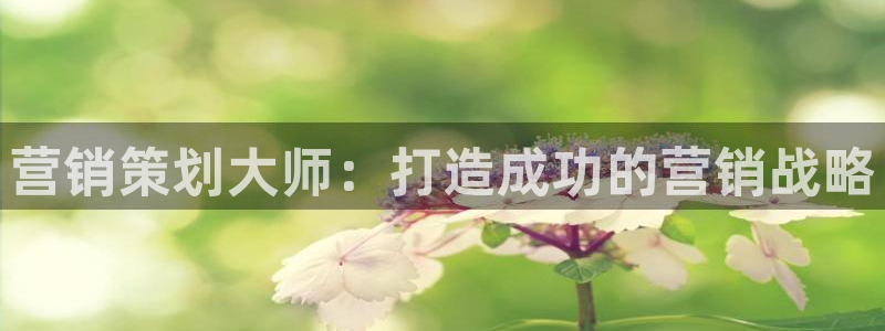 必赢7231：营销策划大师：打