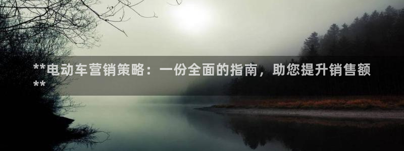 9965必赢游戏特色：**电动
