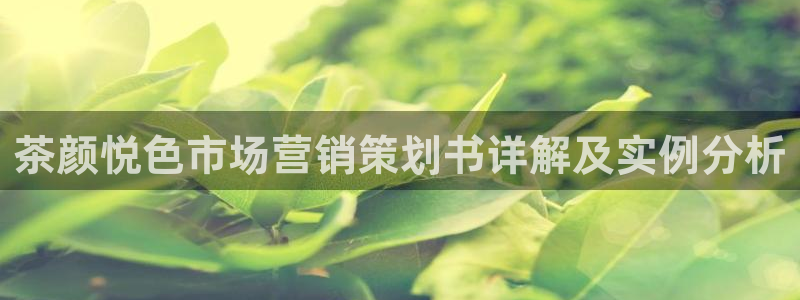 必赢平台网站多少