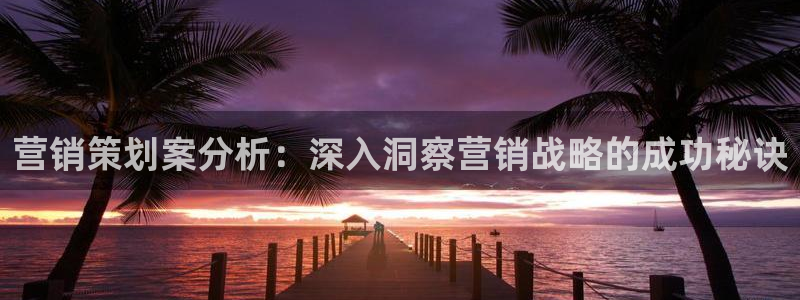 必赢抢红包网址：营销策划案分析